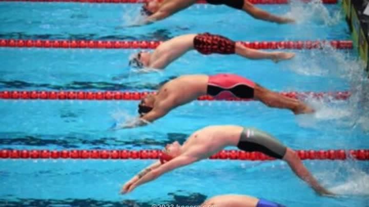 مجلس أبوظبي الرياضي يفتح باب التطوع لمونديال السباحة