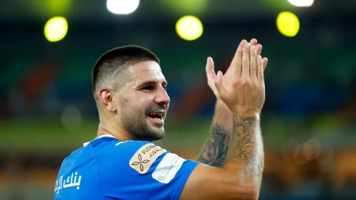 ألكساندر ميتروفيتش