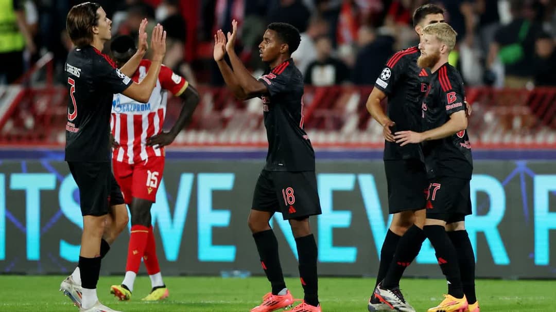 بنفيكا - رد ستار