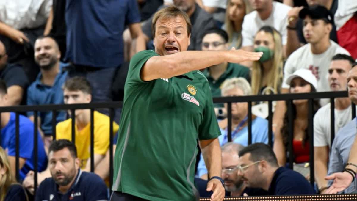 إرجين أتامان