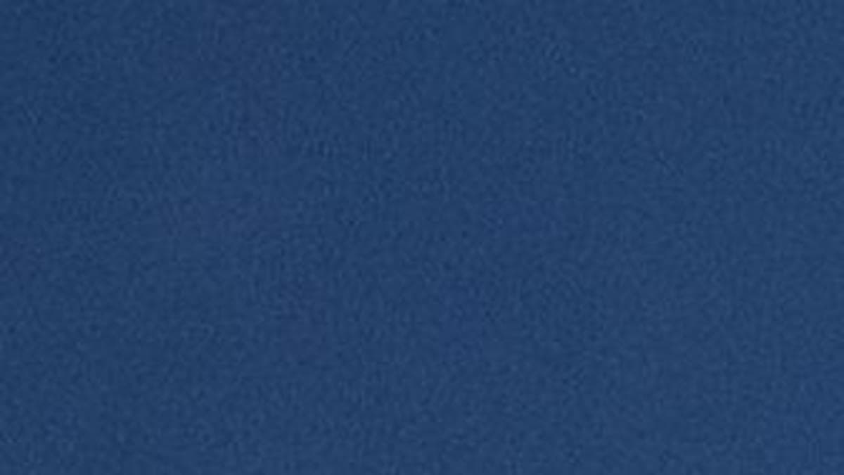 ستيفانو فوكوف وإيلينا ريباكينا 