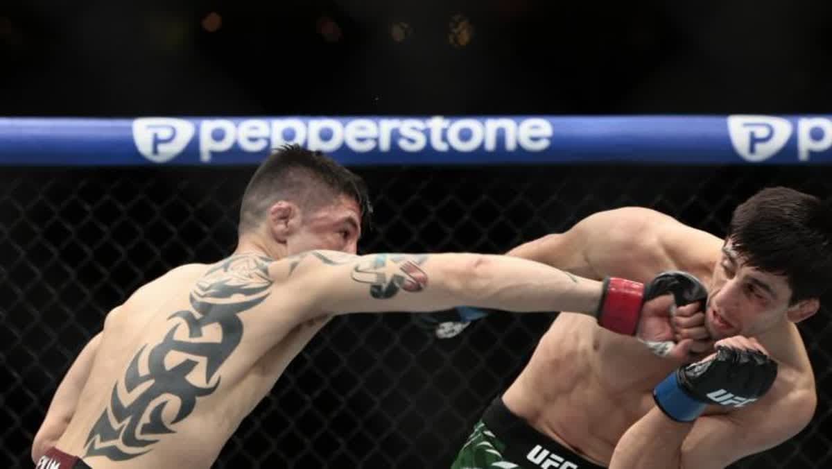   براندون مورينو