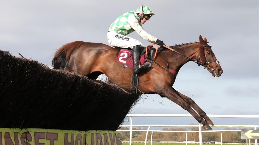 سيليبر دالين