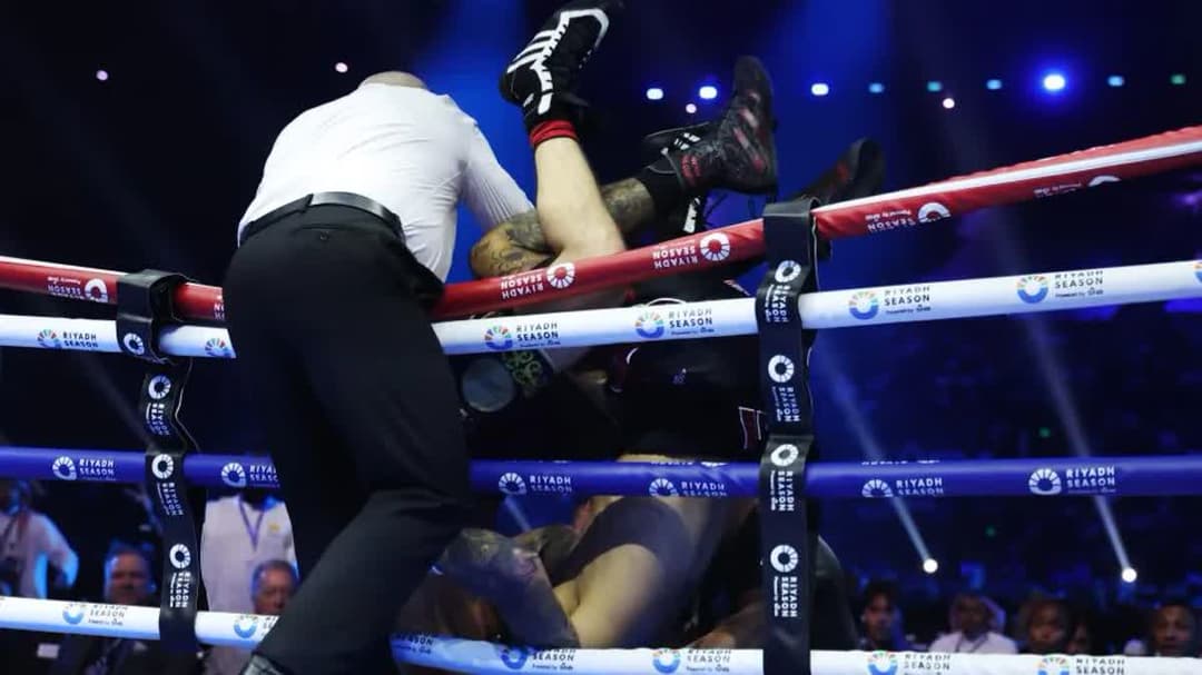 الفنون القتالية المختلطة 