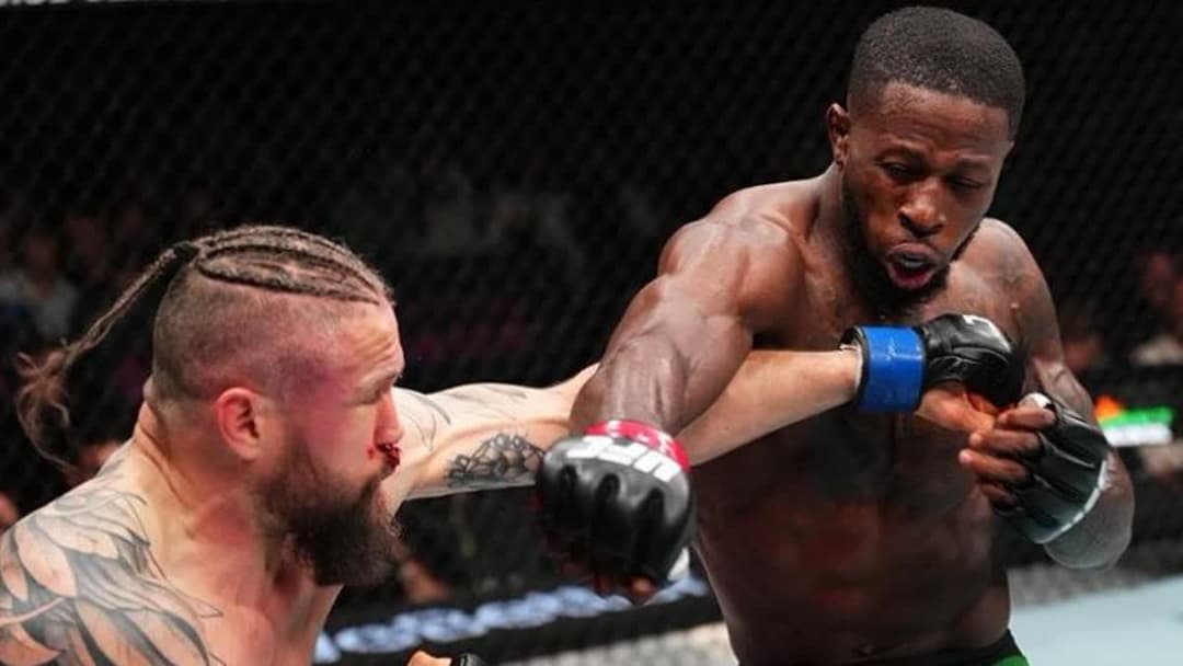 الفنون القتالية 