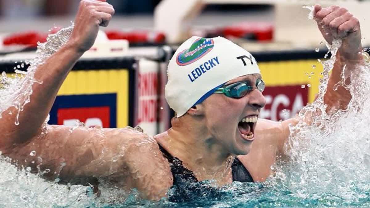 كاتي ليديكي