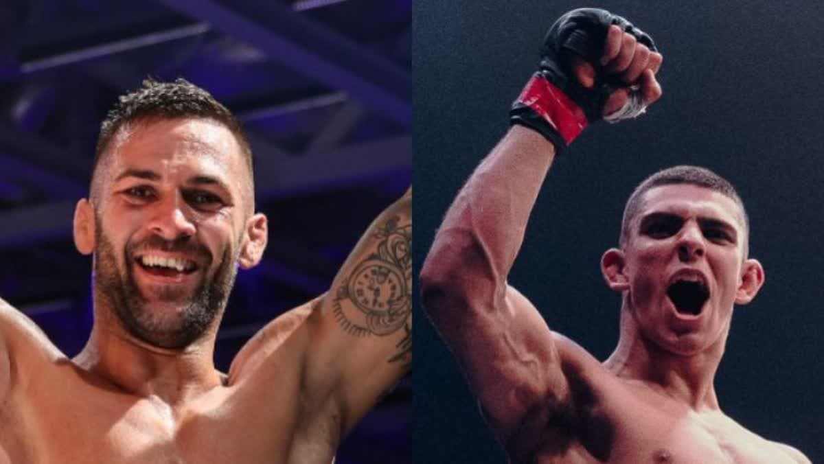 الفنون القتالية 