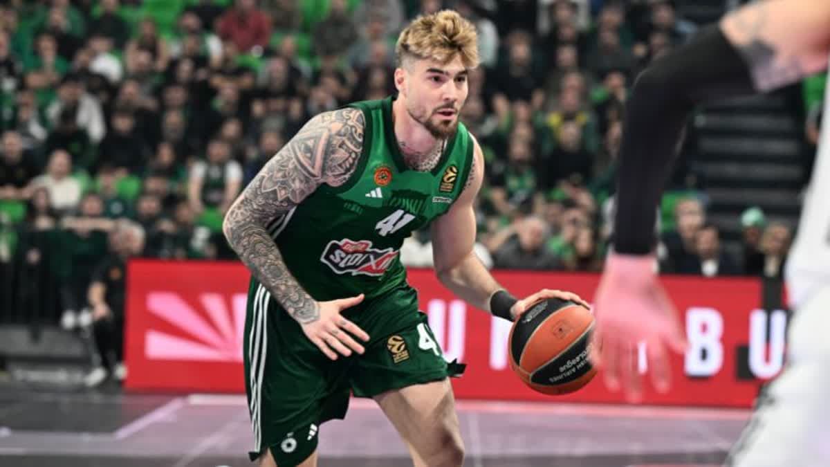 هيرنانغوميز 