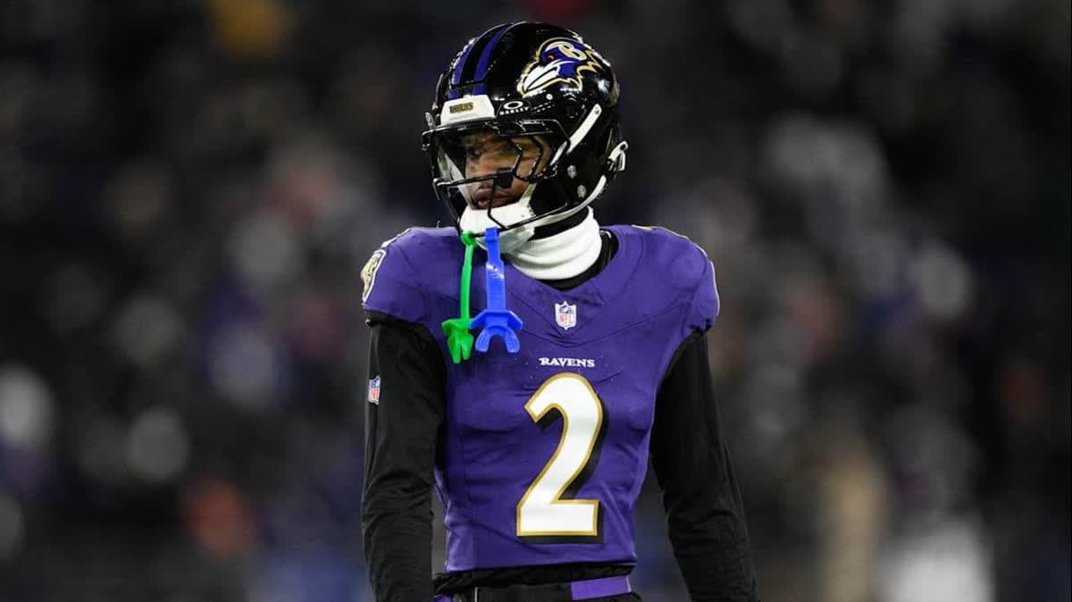 نيت ويجينير