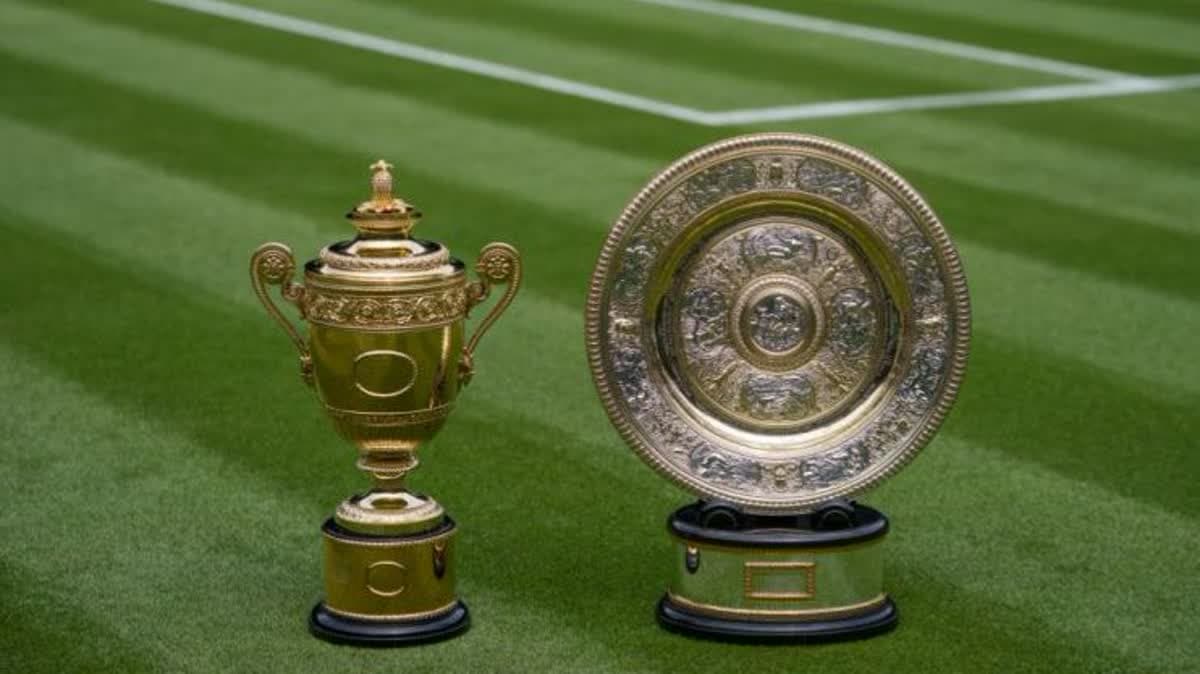 كؤوس ويمبلدون