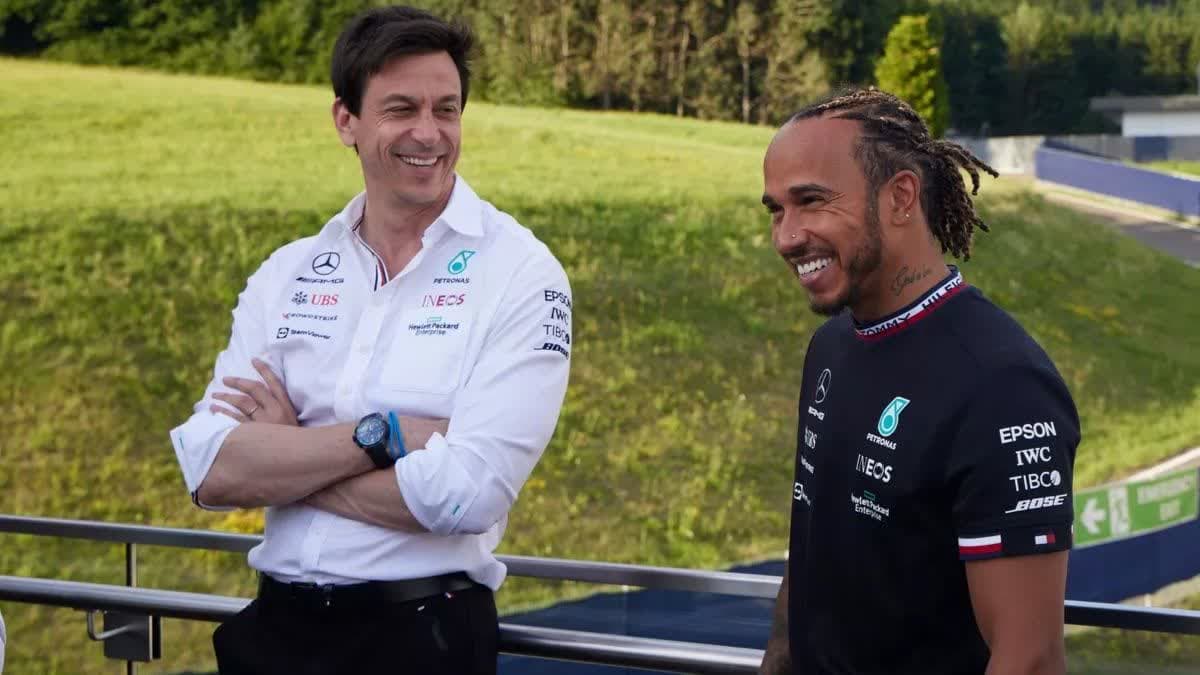 توتو وولف - هاميلتون 