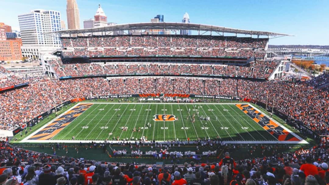  ملعب بايكور