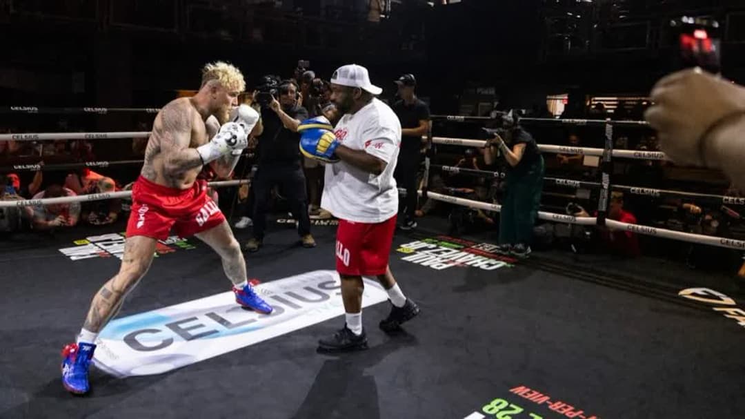 ثيو تشامبرز - بول 