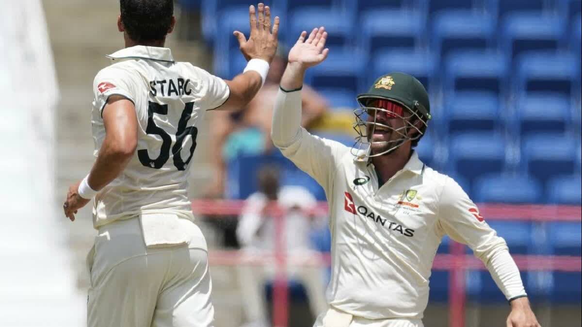 ميتشل ستارك