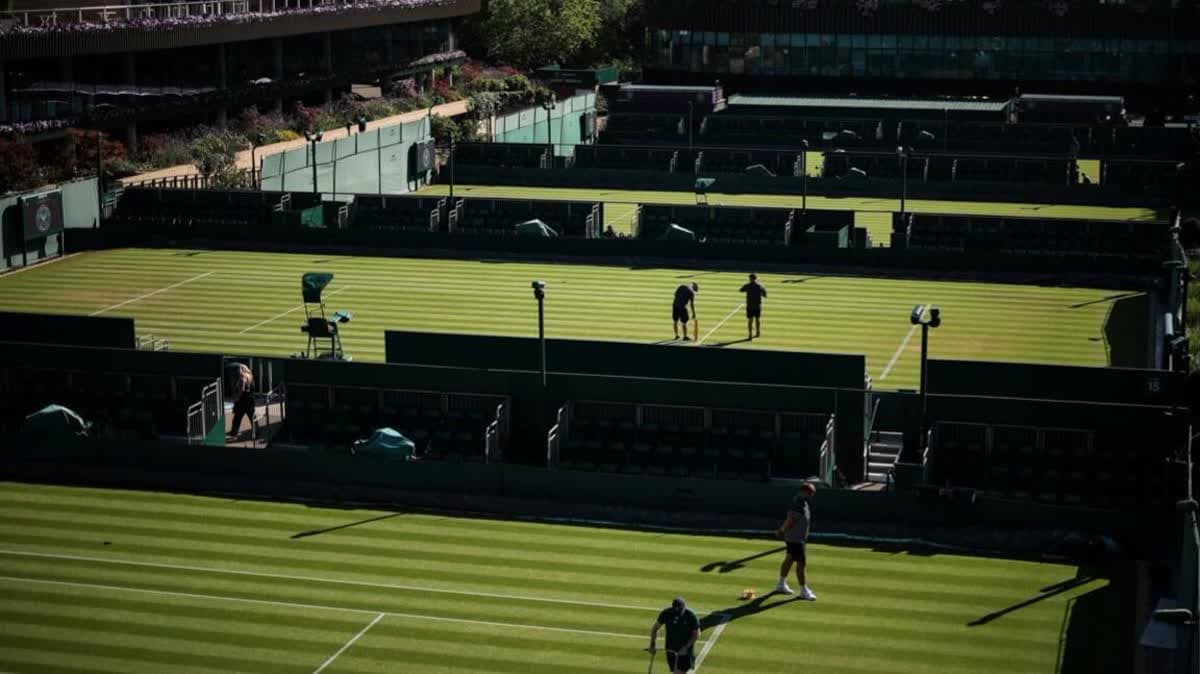 ملاعب ويمبلدون