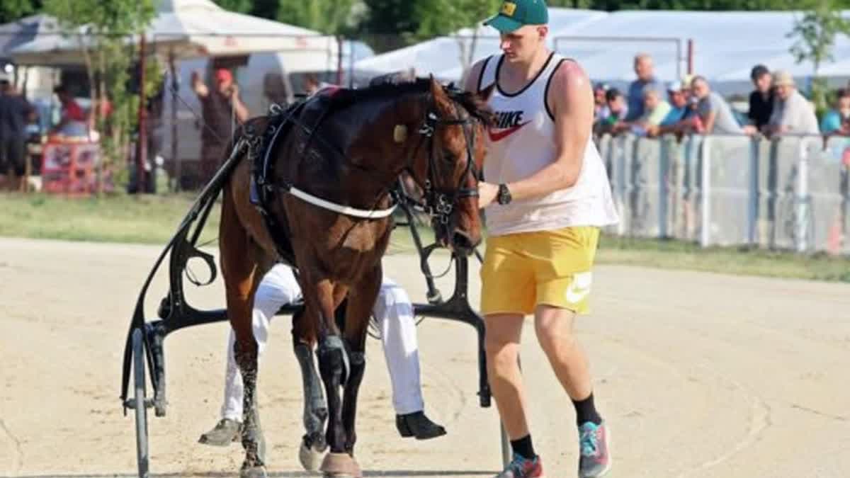 يوكيتش مع خيله