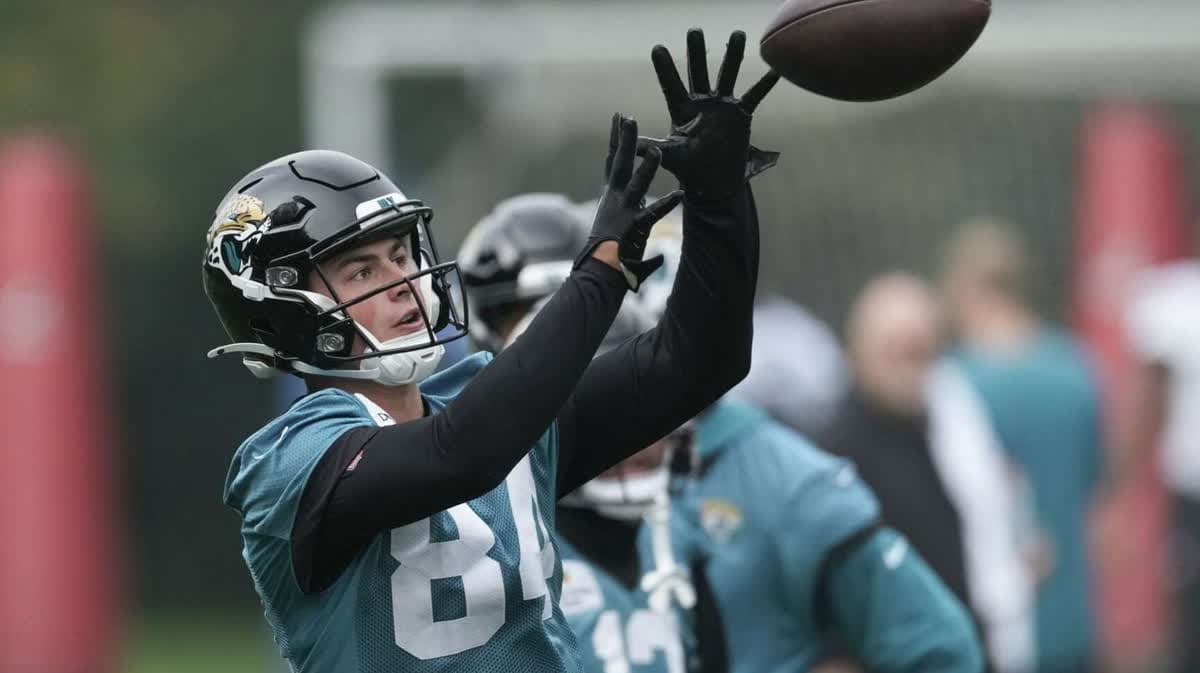 لويس ريس زاميت