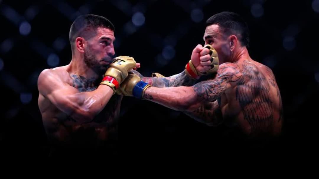 هولواي  - توبوريا 