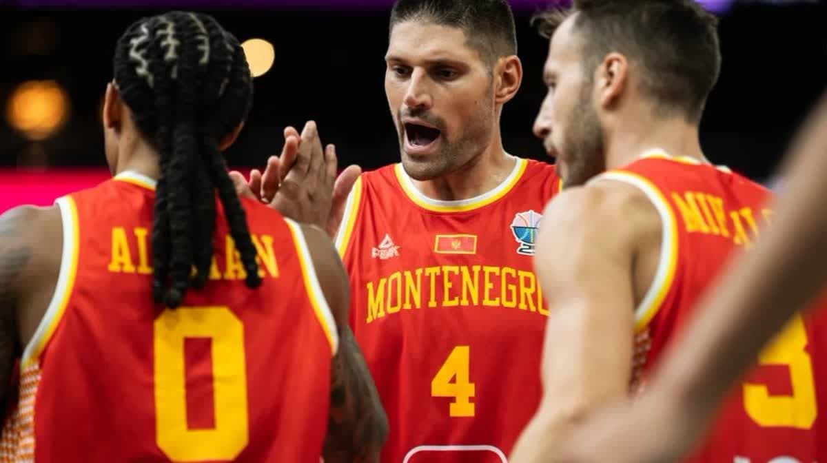 نيكولا فوتشيفيتش