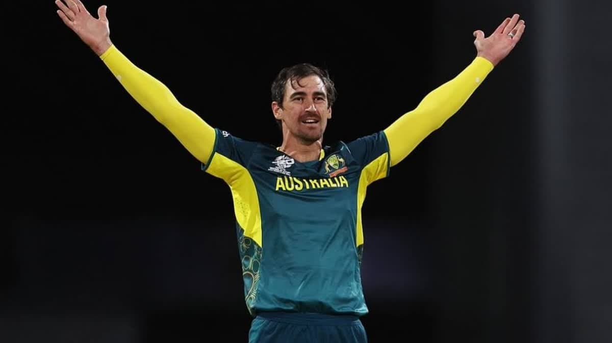 ميتشل ستارك