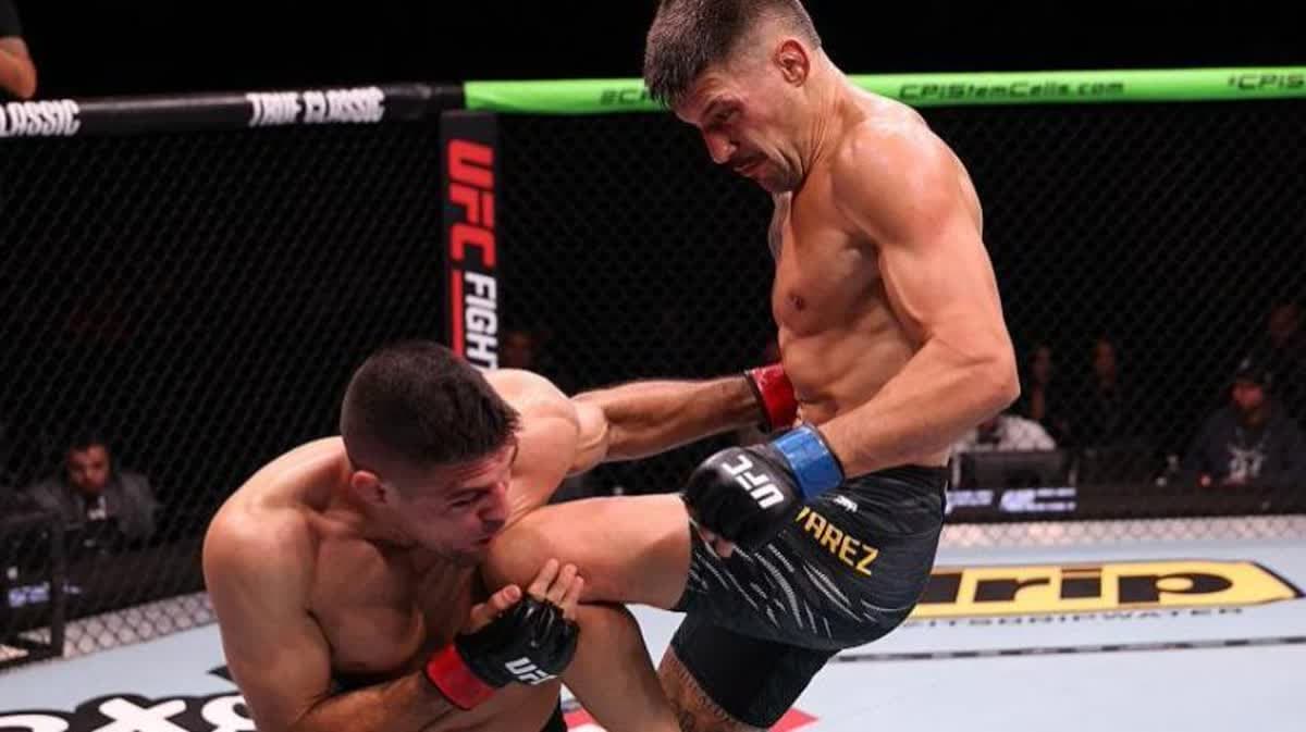 جويل ألفاريز