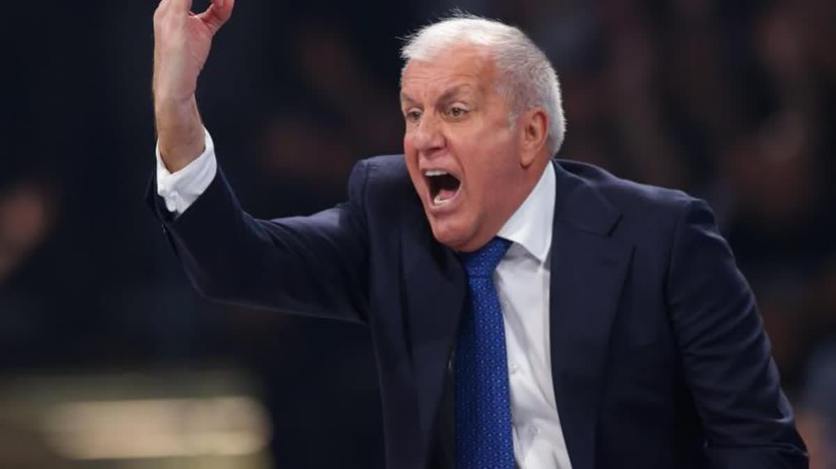 زيلكو أوبرادوفيتش