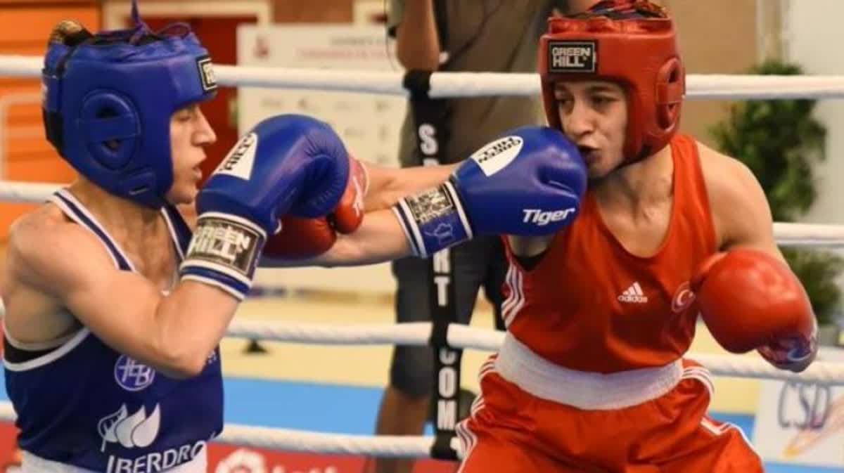 بطولة أوروبا للملاكمة 