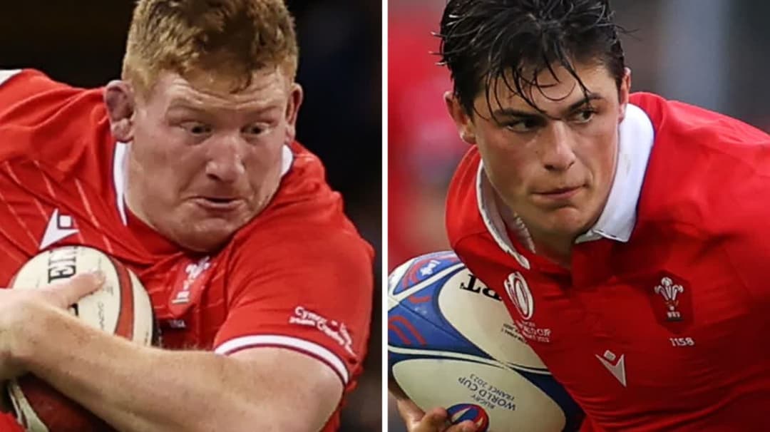 كاريه وريس زاميت