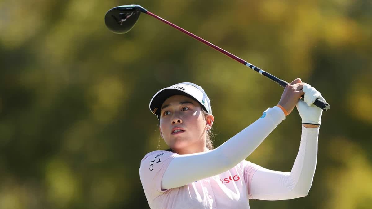 جينو ثيتيكول