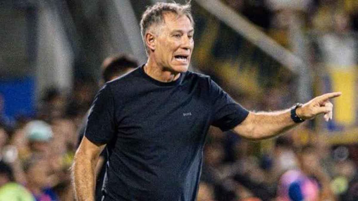 أرييل هولان