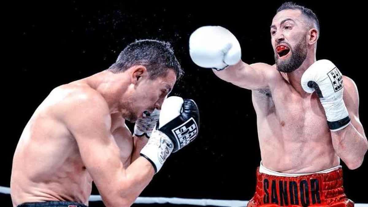 ساندور مارتين