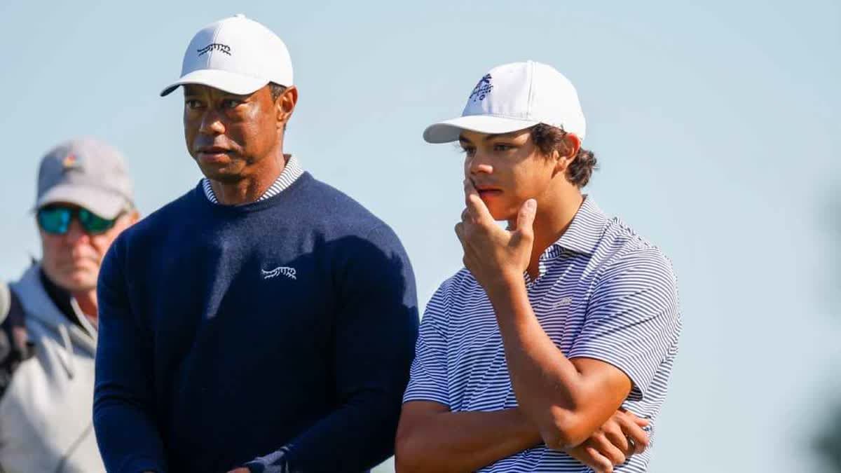 تايجر وتشارلي وودز