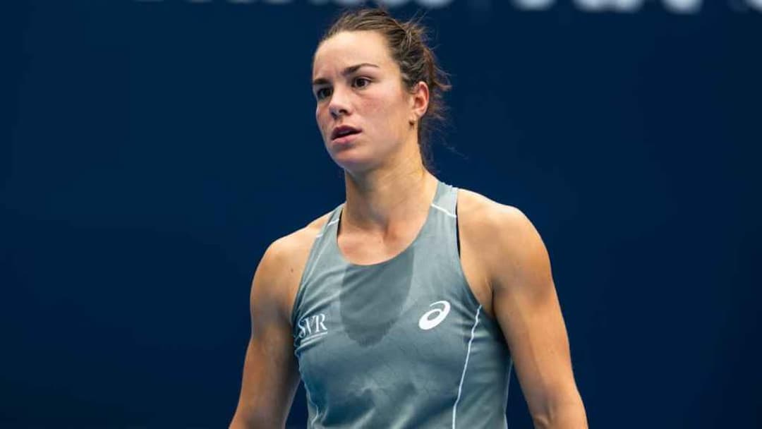 لويس بويسون