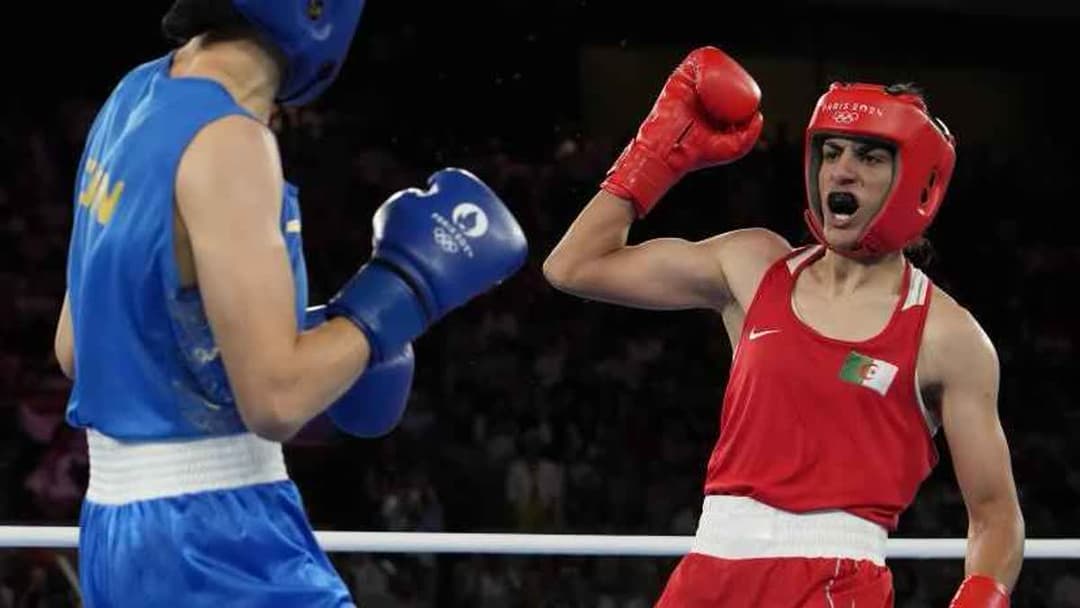 منظمة الملاكمة العالمية (WB)