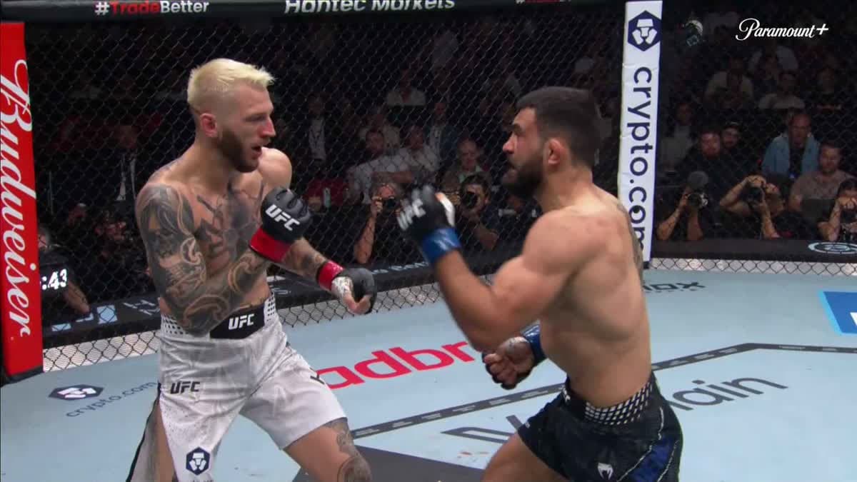 سان دينيس -دان هوكر