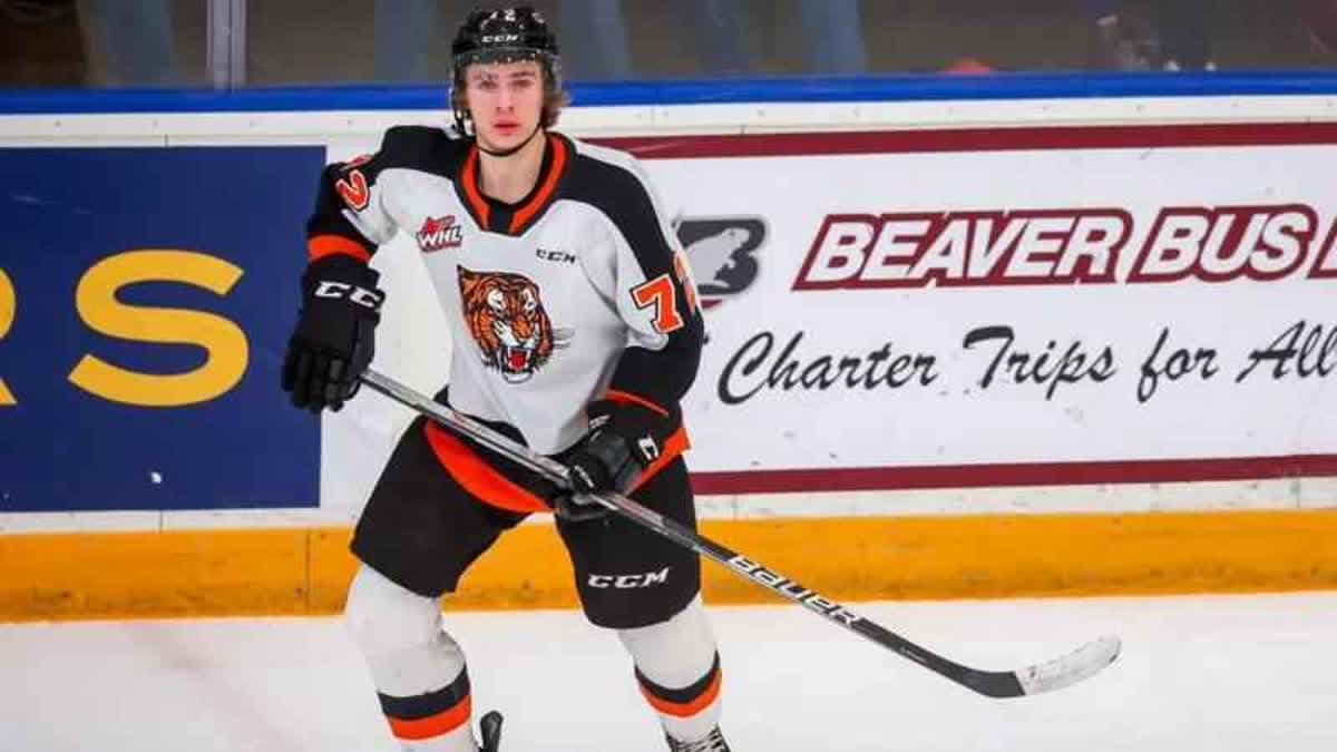 غافين ماكينا