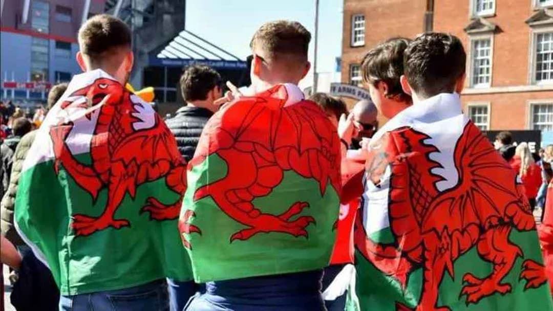 مشجعو منتخب ويلز