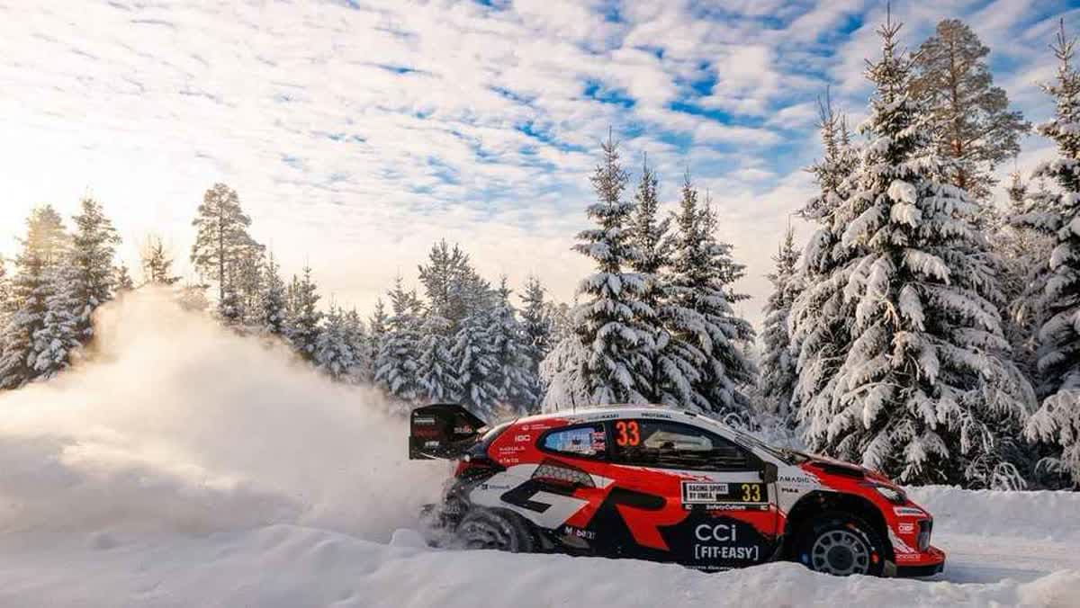 إلفين إيفانز