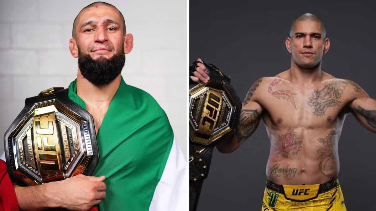 أليكس بيريرا وخمزات تشيمايف