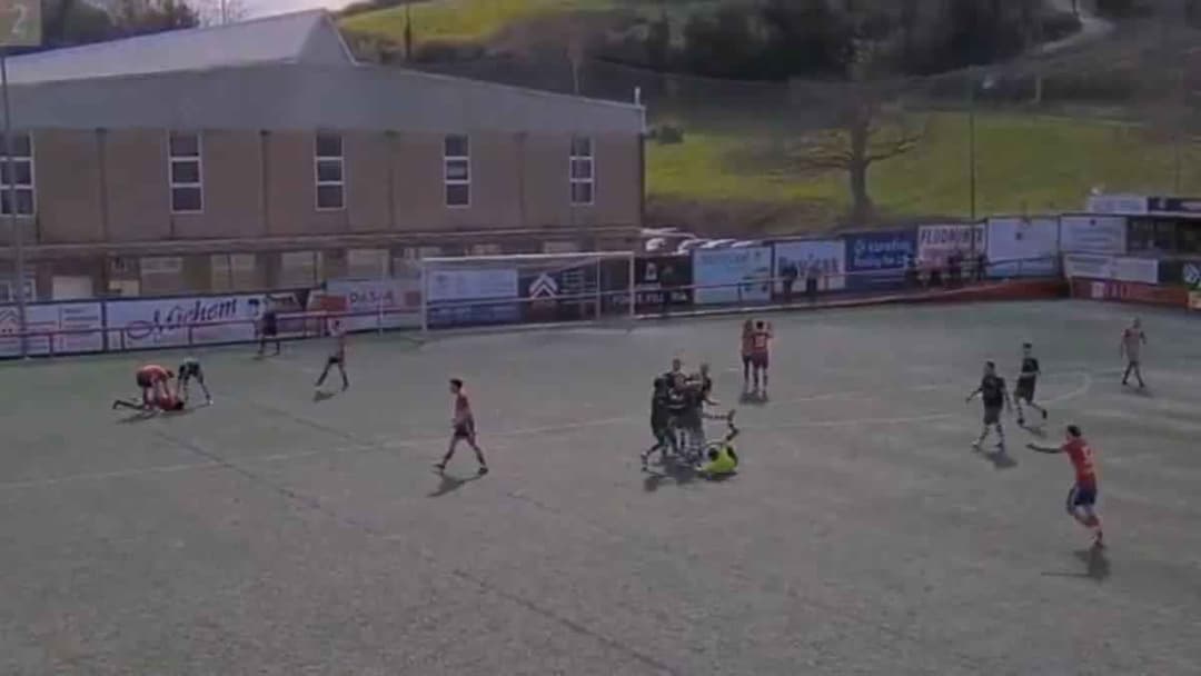 خوسيه غييرمو ألفاريز إستيبان يضرب الحكم