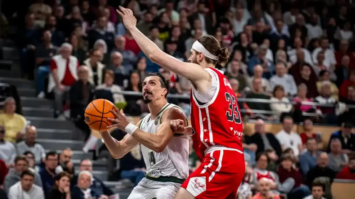 نهاد جيدوفيتش