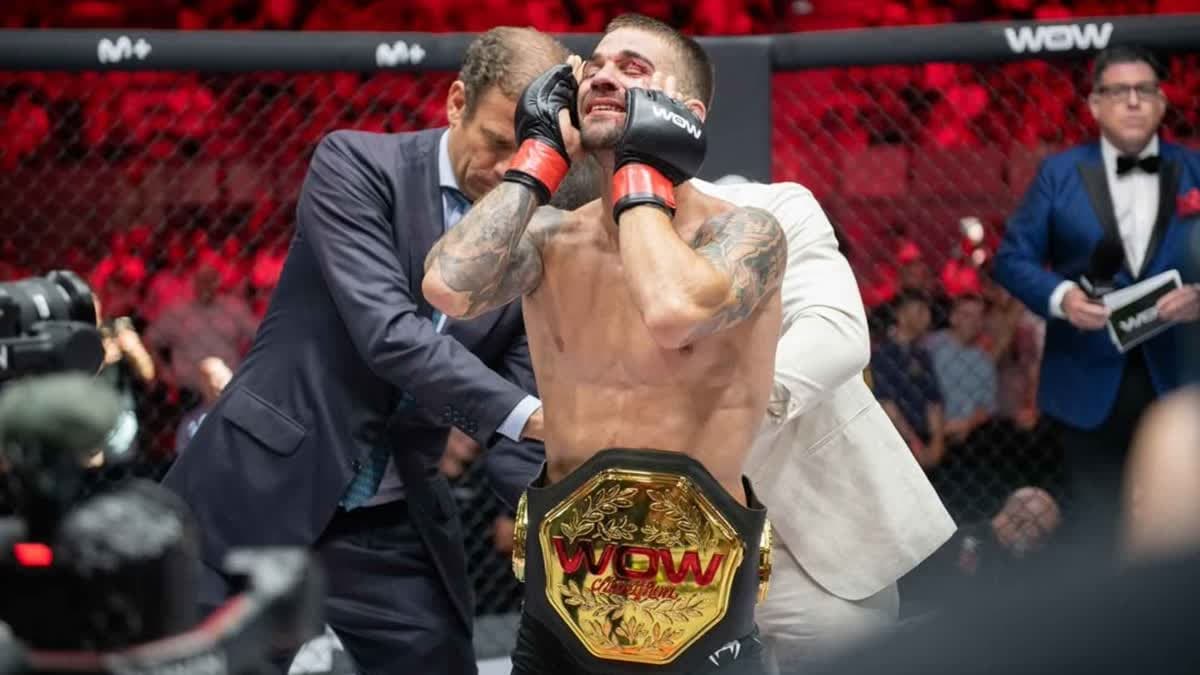 فابيا سينتيس