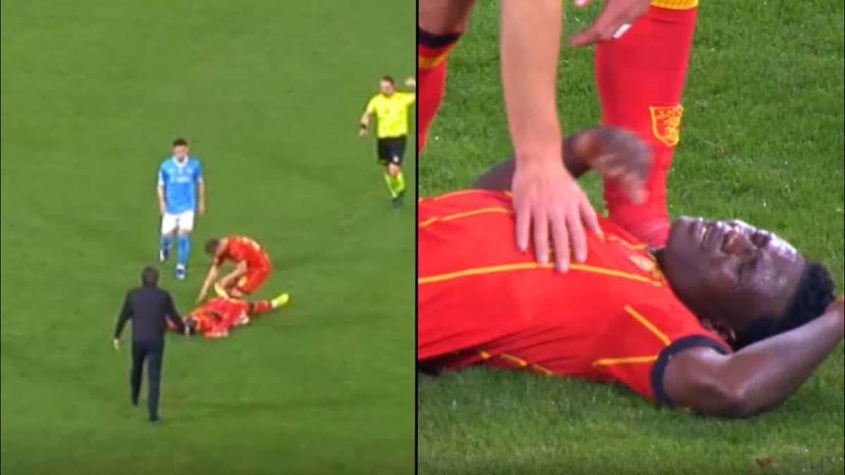 لاميك باندا.