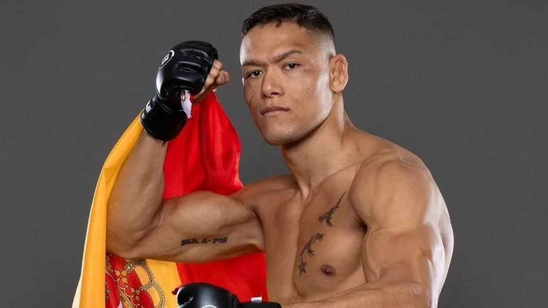 كوستيلو فان ستينيس