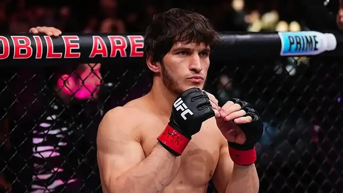 موفسار إيفلويف