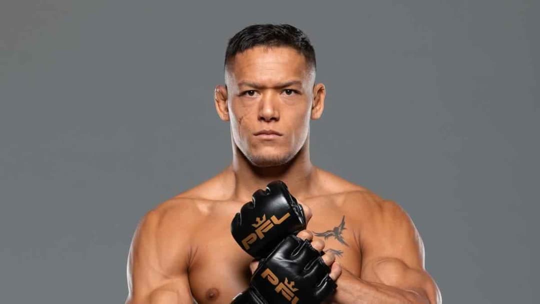 كوستيلو فان ستينيس