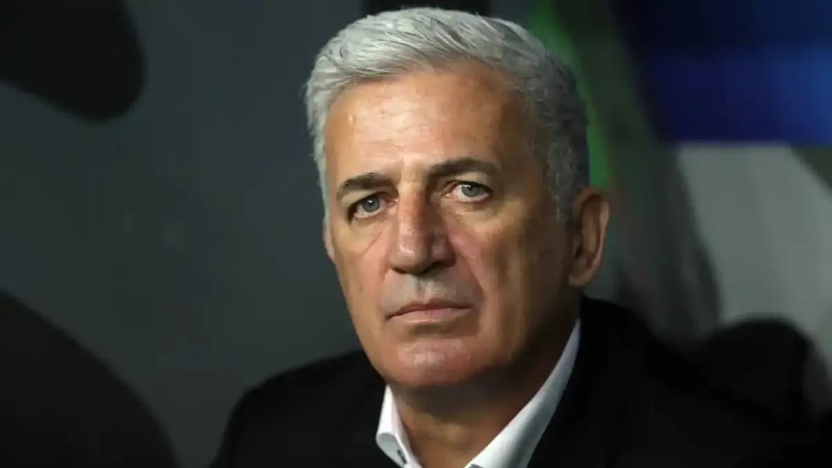 فلاديمير بيتكوفيتش