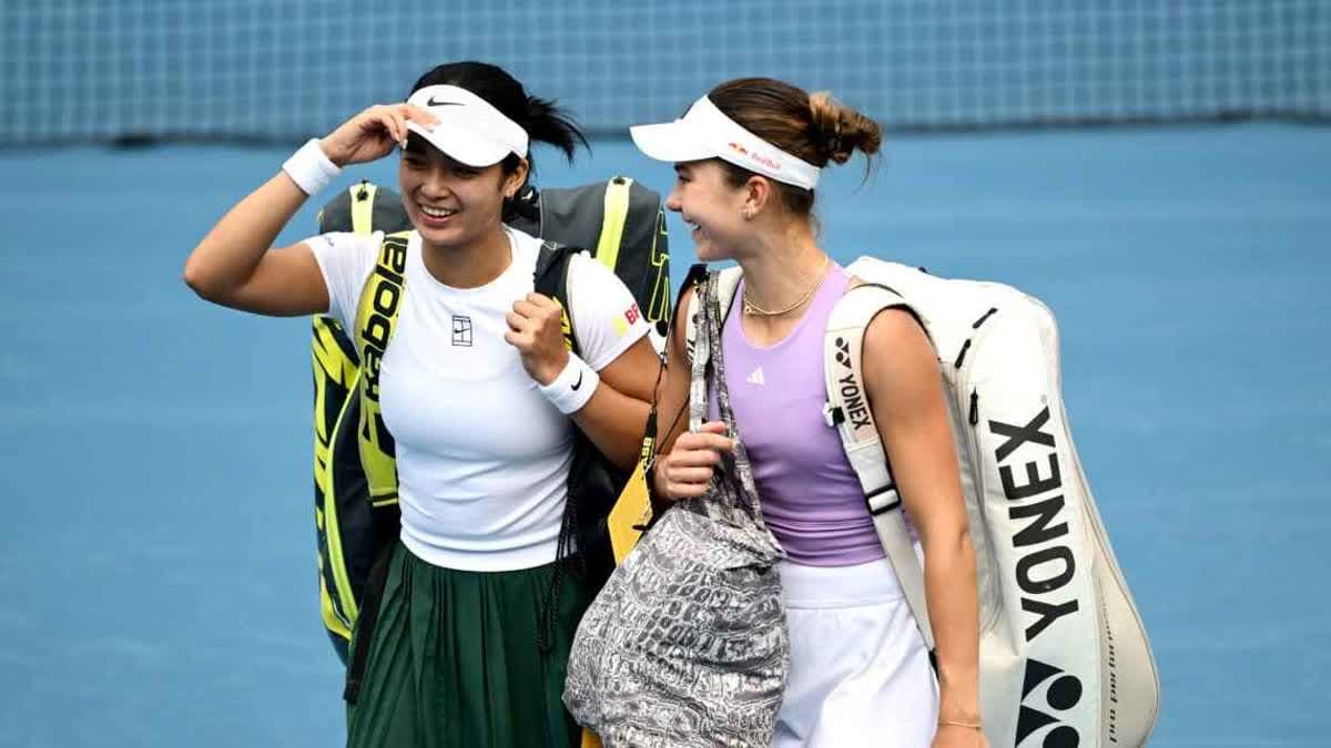 ايالا ويوفيتش