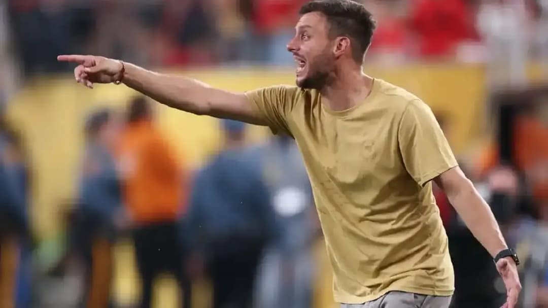 مارتن أنسلمي