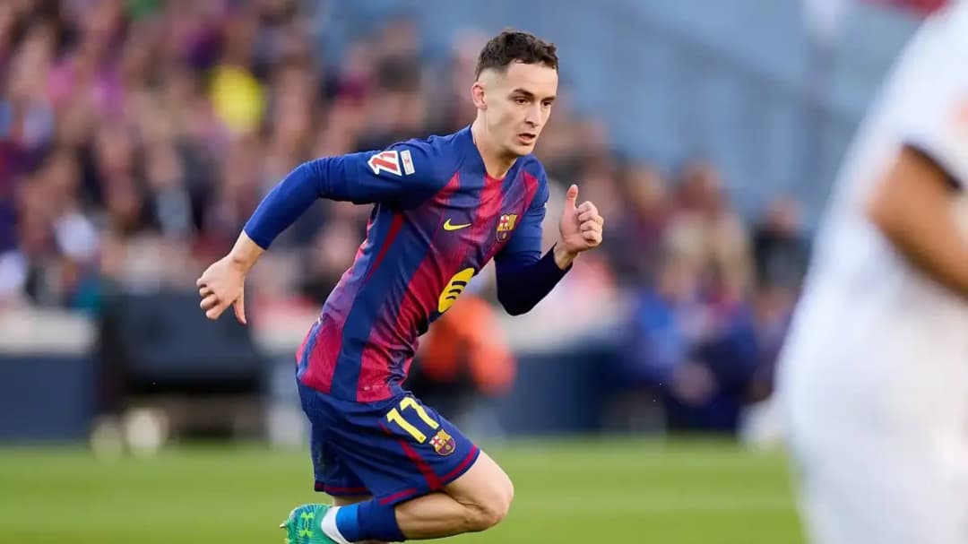 مارك كاسادو